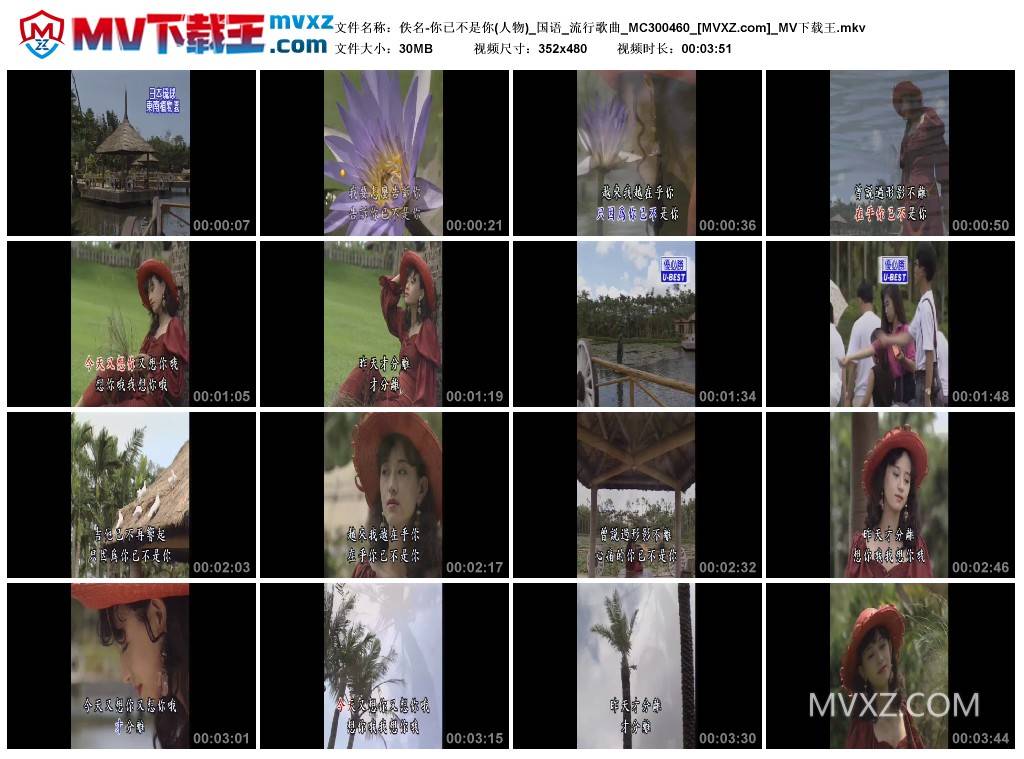 佚名-你已不是你(人物)_国语_流行歌曲_MC300460